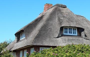 thatch roofing Stoneywood