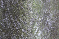 Stoneywood fibreglass roof work